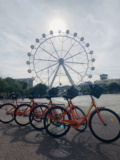 Photo from customer review