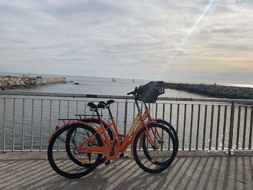 Photo from customer review