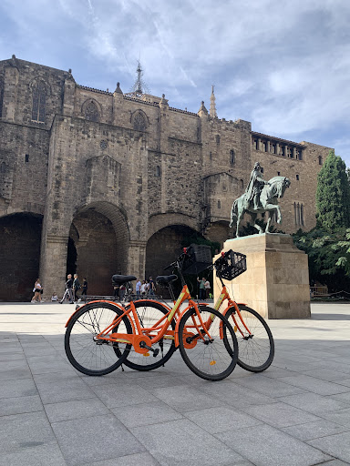 Photo from customer review