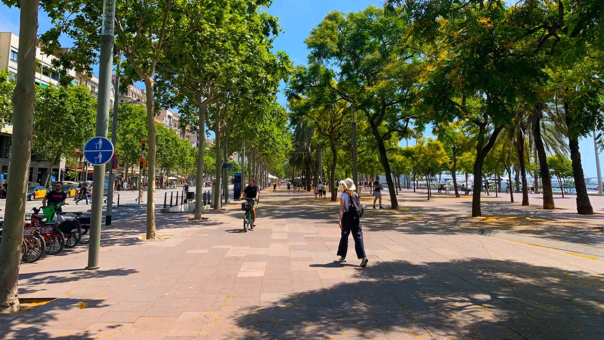 Cyclist and pedestrian on a tree-lined promenade near the port during the Barcelona Gothic Quarter & Coast Bike Tour.