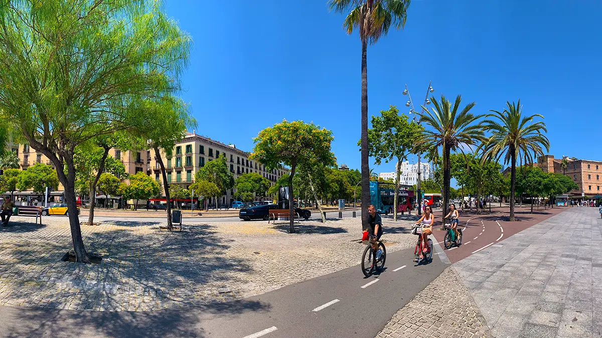 Cyclists riding on a dedicated bike path in a sunny palm-lined square.