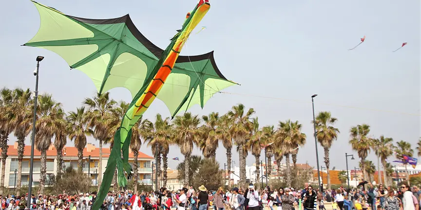 Valencia Wind Festival photo 2