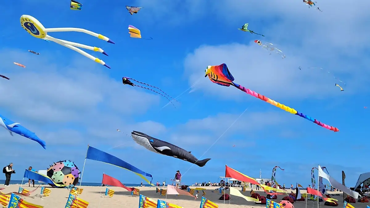 Valencia Wind Festival: A Celebration of Color, Culture, and Community